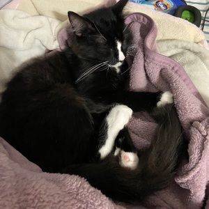 Meet your Posher, Darla